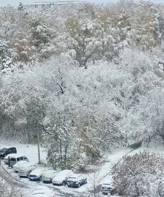Вид из окна - Галина Нестратова