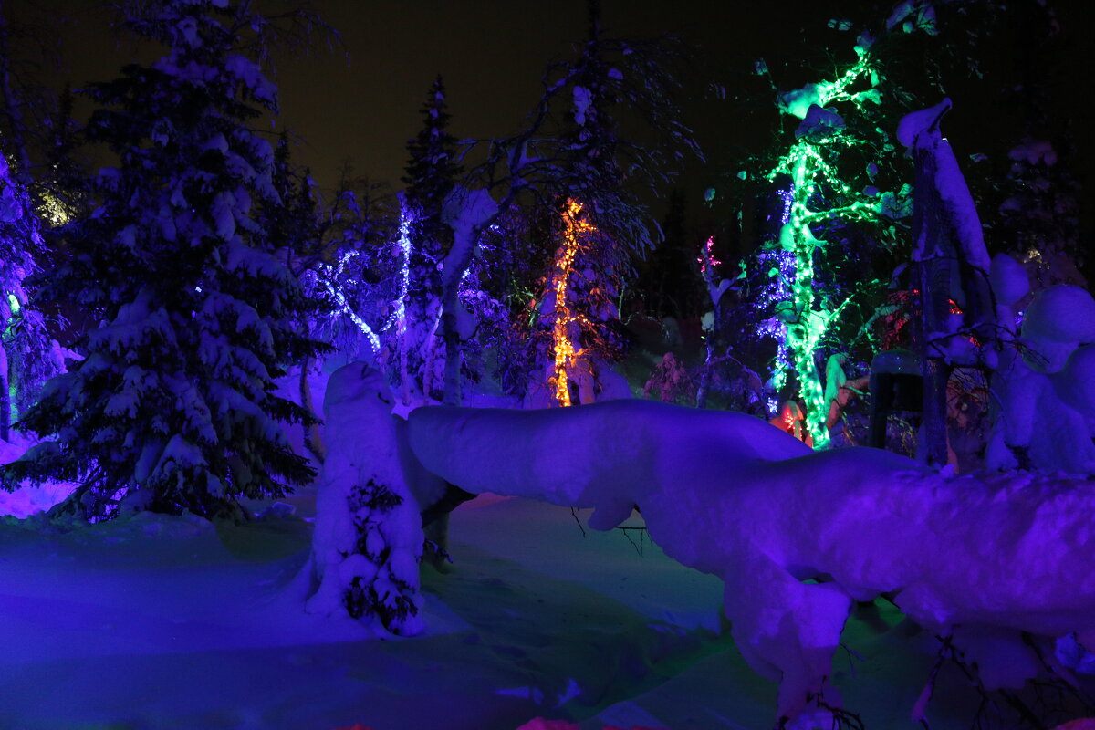 Ночи Таинственного леса - Ольга 