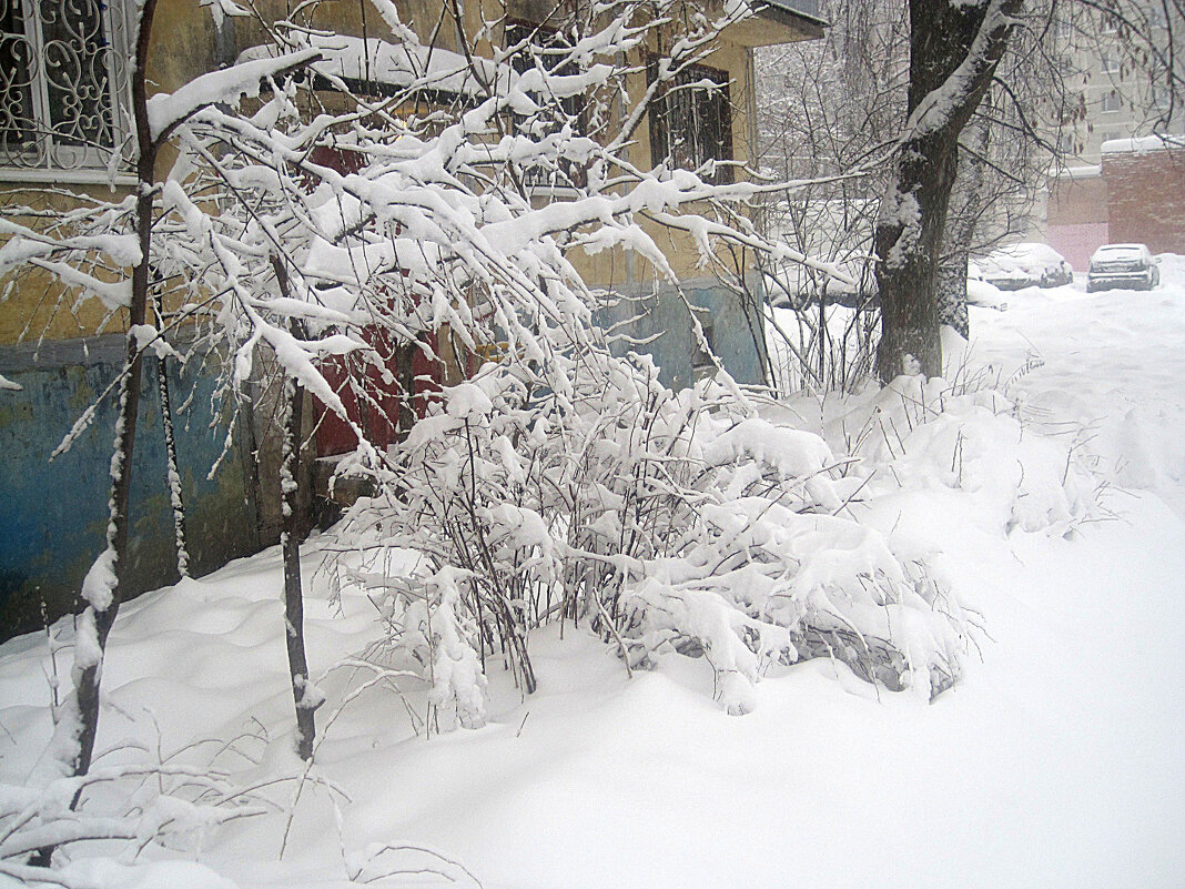 замело - Елена Семигина