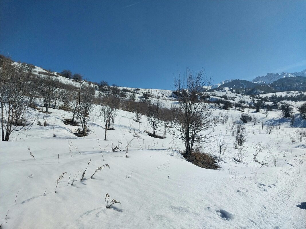 Ак Булак.  Талгар. - Murat Bukaev 