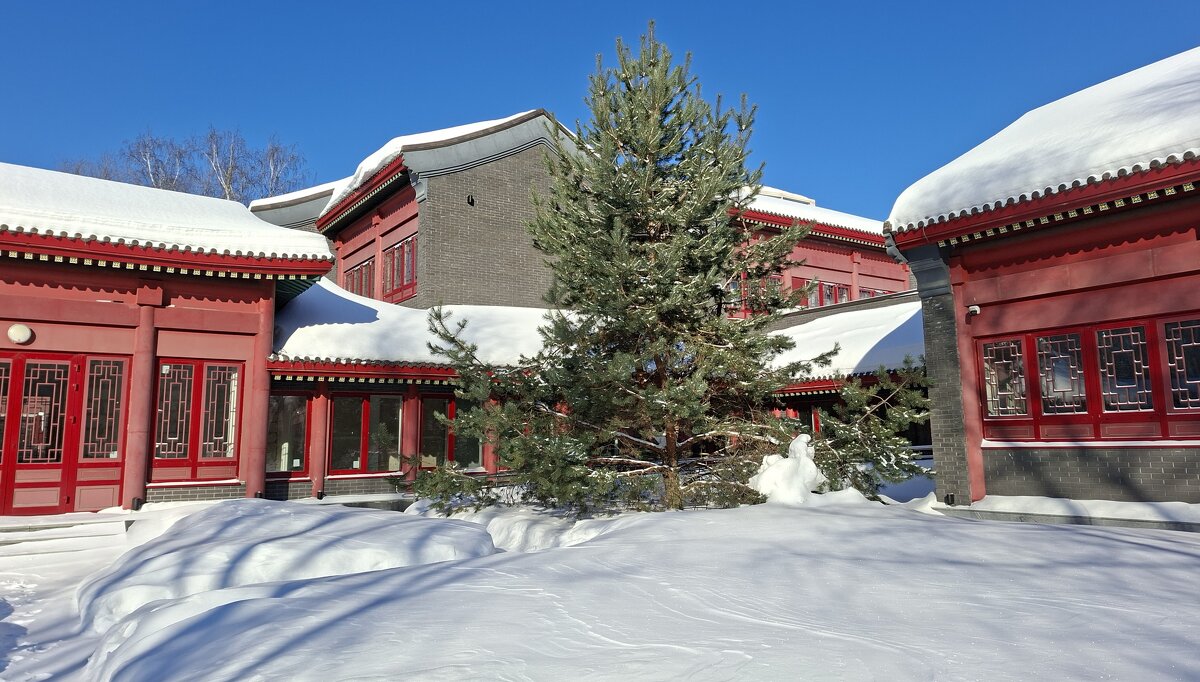 Зима в парке Хуамин - ИРЭН@ .