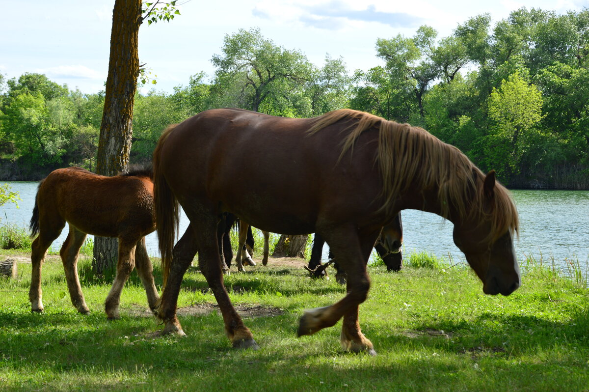 На прогулке. - Виктор 