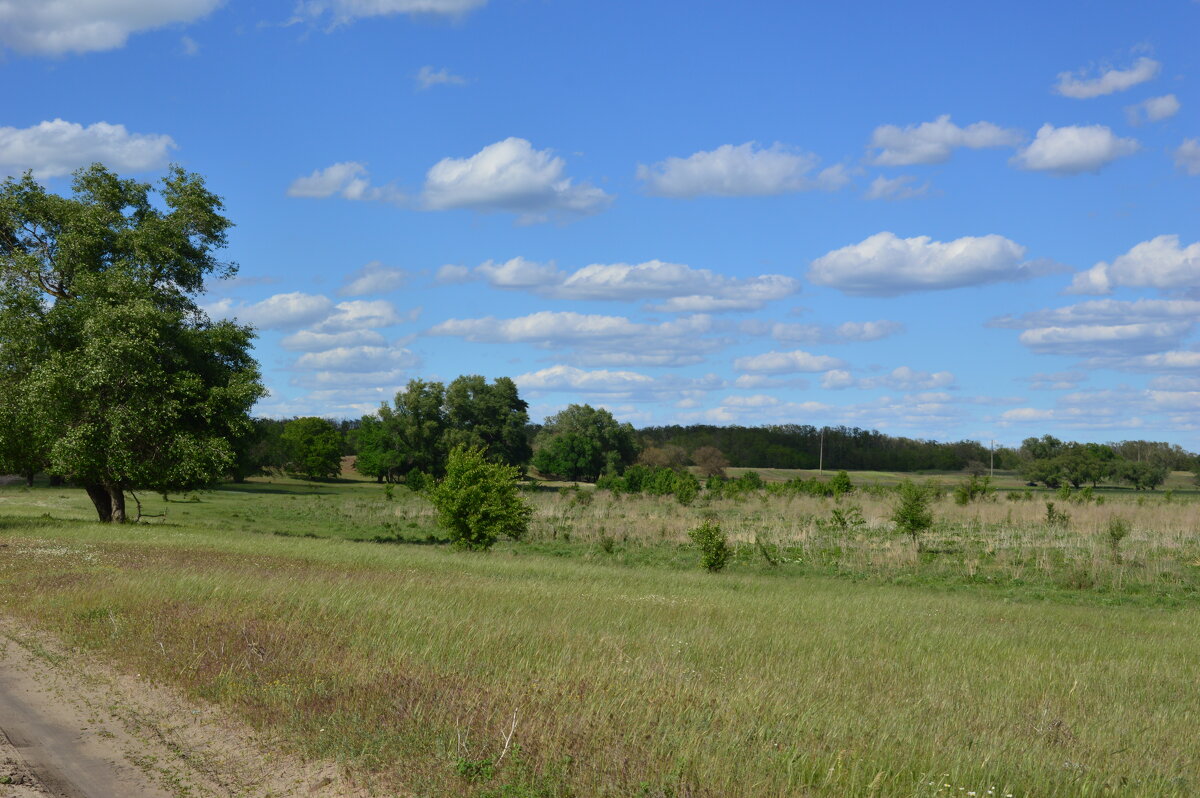 Донские виды. - Виктор 