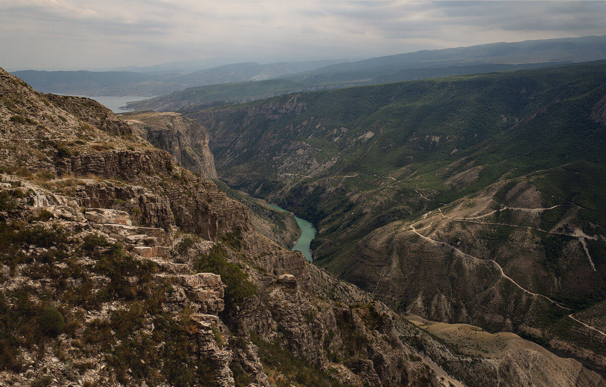Дагестан - Лилия . Дагестан - Лилия .
