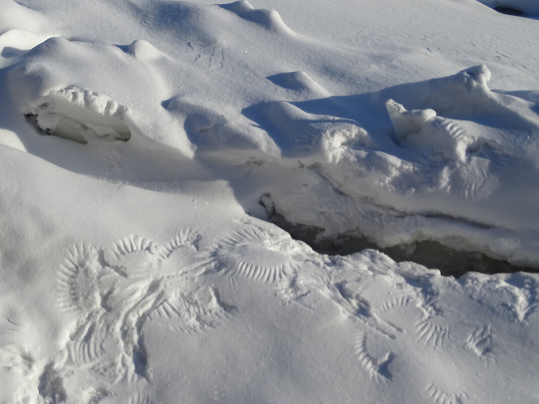 Чьи-то следы - Anna-Sabina Anna-Sabina