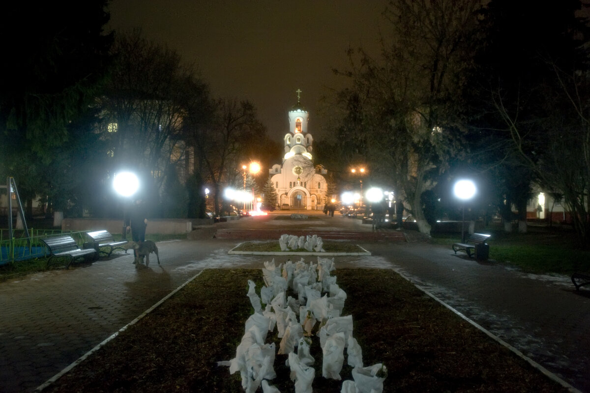Собака: Когда же выпадет настоящий снег - Виктор Берёзкин