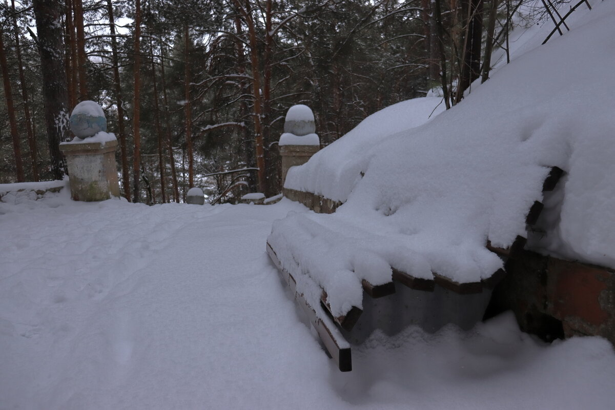 Старый парк. - Александр Николаев