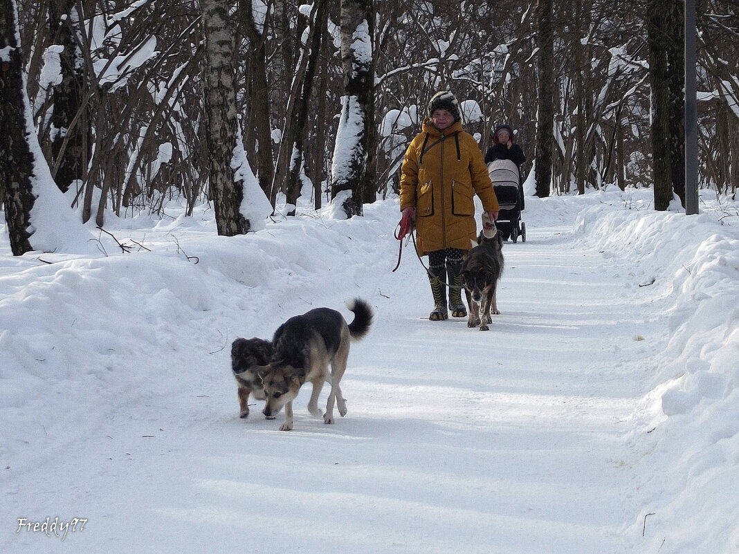 Счастливы вместе..! - Freddy 97
