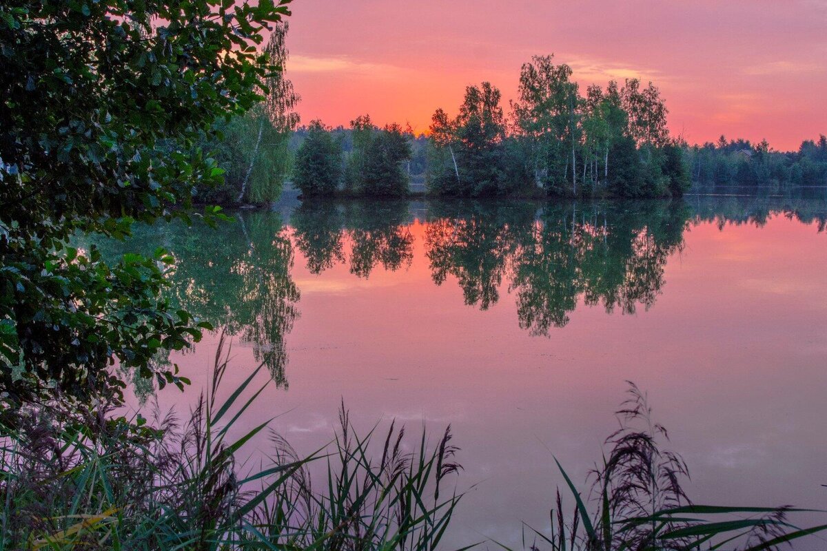 Ранняя рань) - Дмитрий Балашов