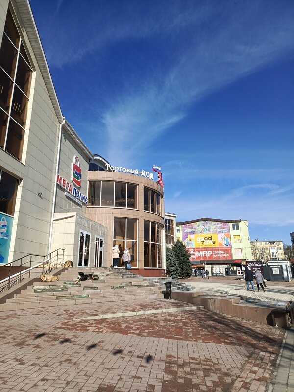 Рынок Бахчиванджи Мариуполь - Татьяна Пальчикова