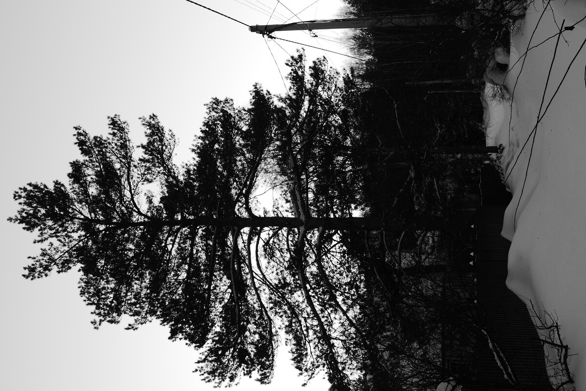 Мечты о ч/б Лейке 3. - Михаил Елочкин Мечты о ч/б Лейке 3. - Михаил Елочкин