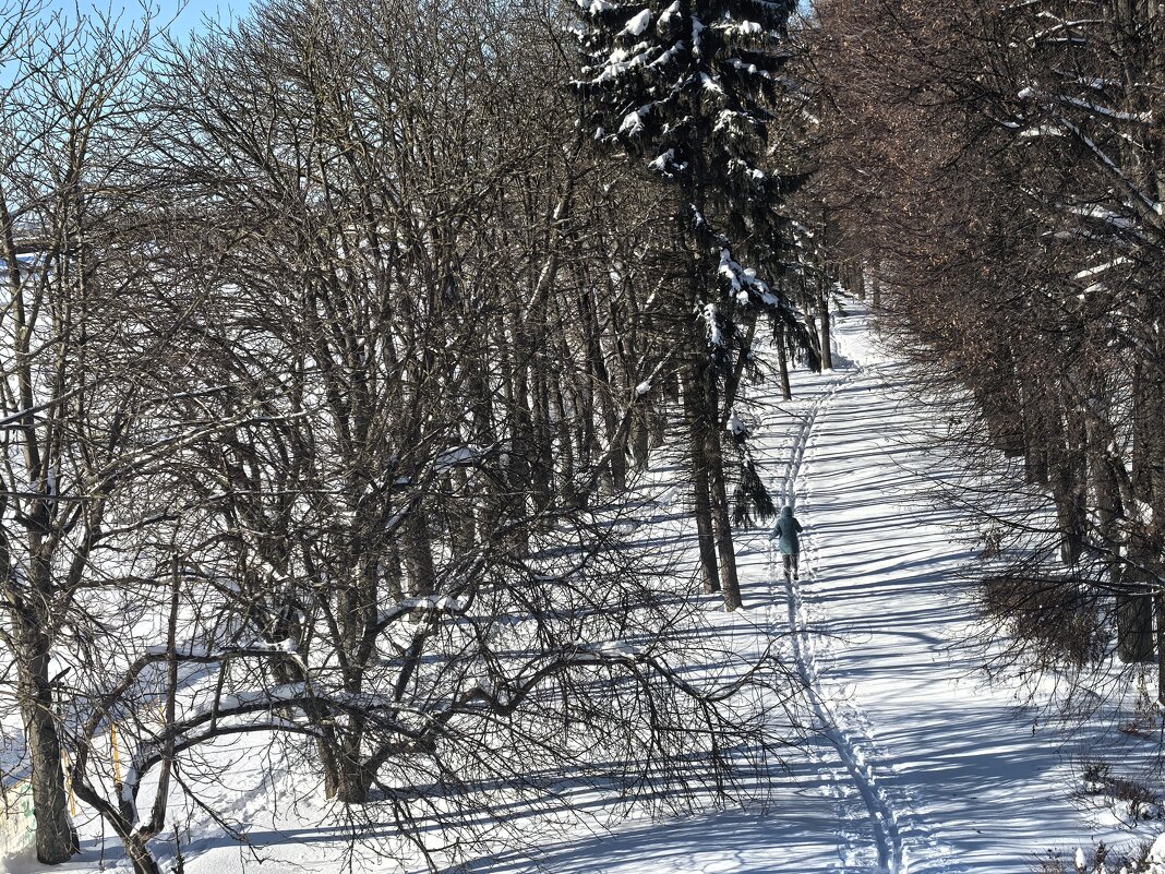 ***зимний день*** - Olga Oskolkova ***зимний день*** - Olga Oskolkova