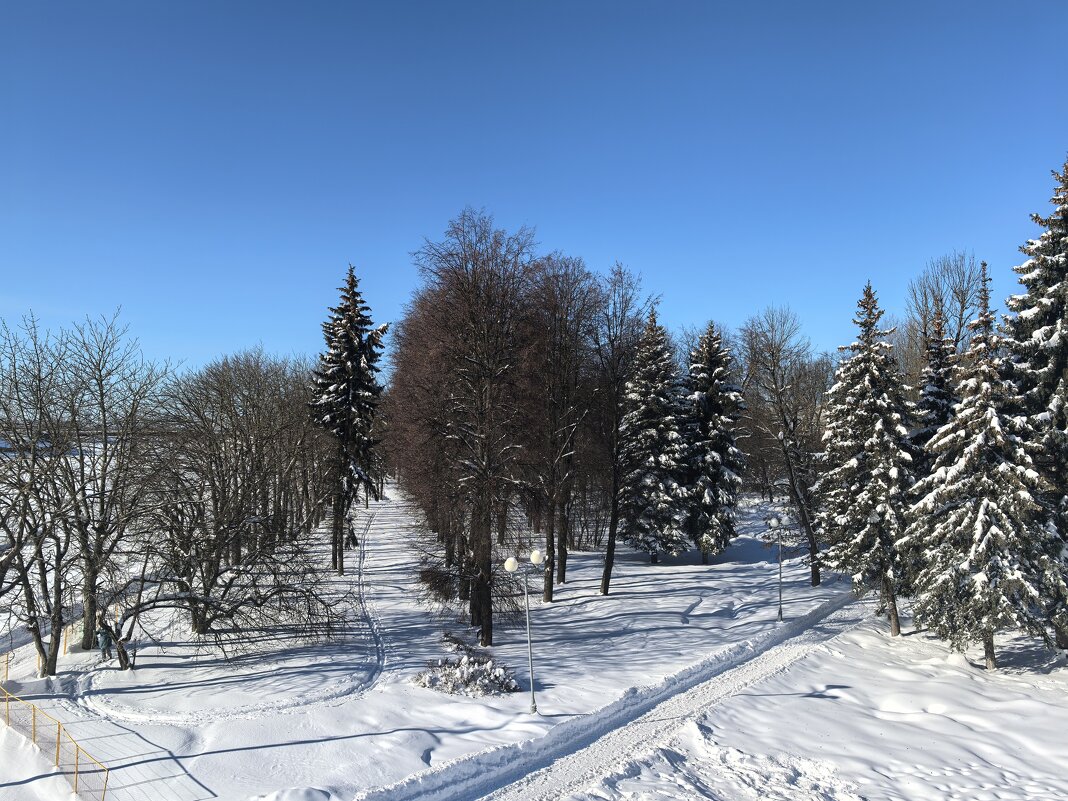 "...зима и солнце, день чудесный..." - Olga Oskolkova "...зима и солнце, день чудесный..." - Olga Oskolkova