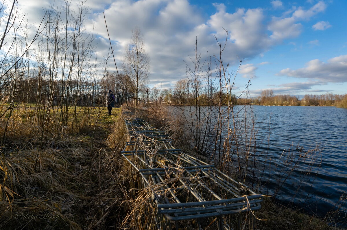 У ограды... - Николай Гирш