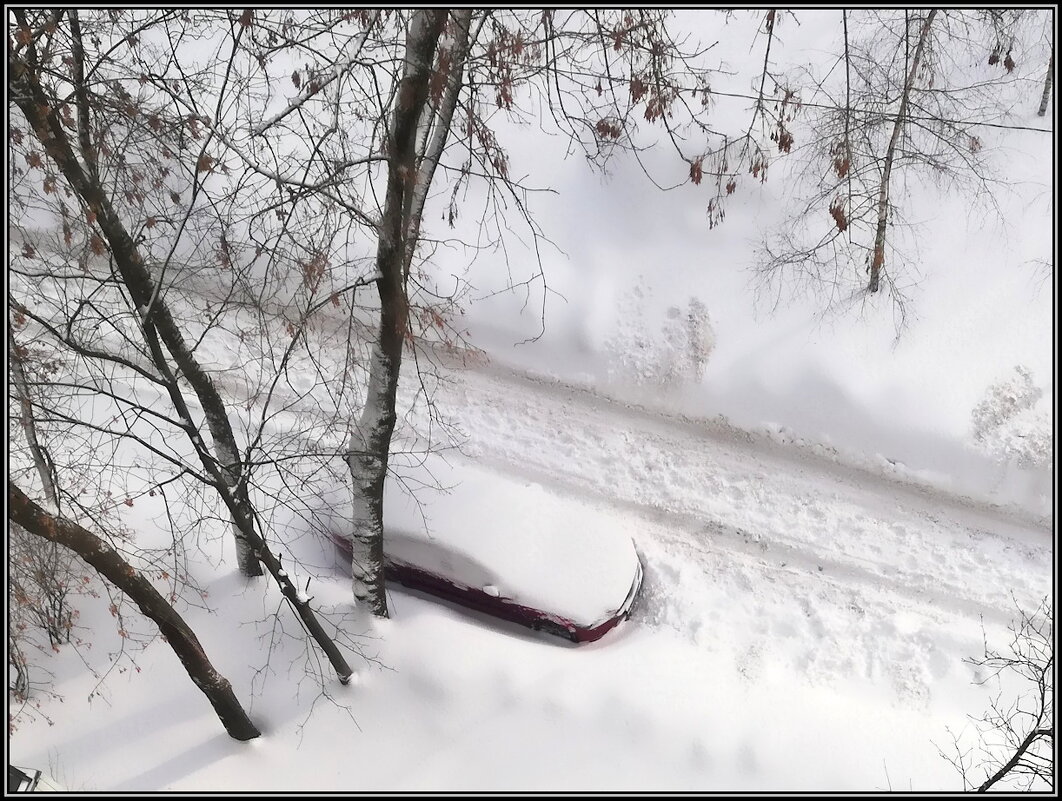 "Подснежник" под окном - Ольга Довженко
