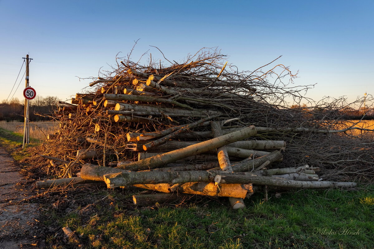*** - Николай Гирш *** - Николай Гирш