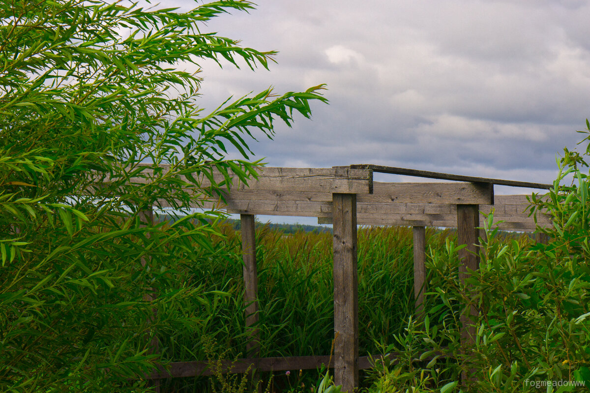 без названия - fogmeadowww m