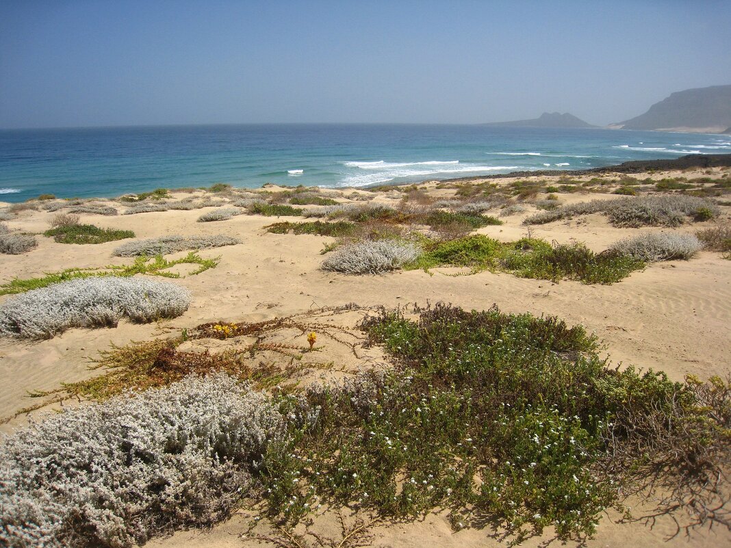 Кусочек острова Сан-Висенте, Кабо-Верде. - unix (Илья Утропов)