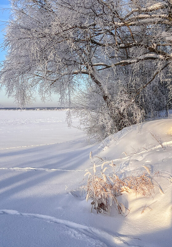 морозный день - Galina 