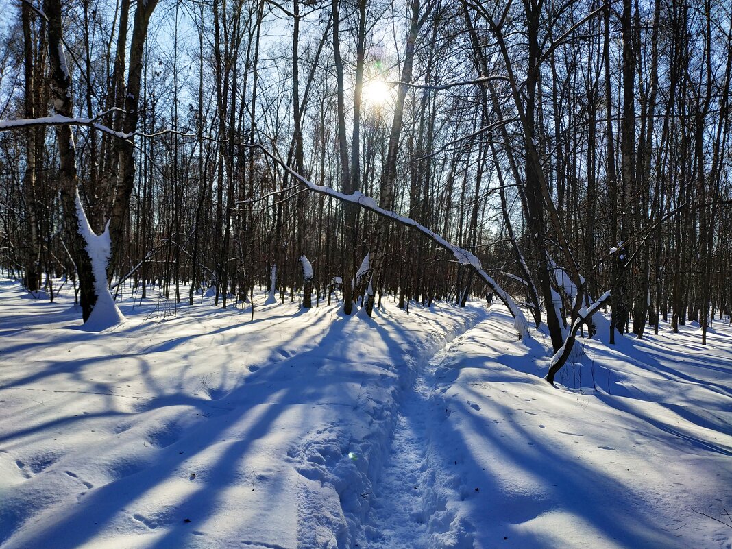 Провожаю зиму. С Масленицей, друзья! - Андрей Лукьянов Провожаю зиму. С Масленицей, друзья! - Андрей Лукьянов
