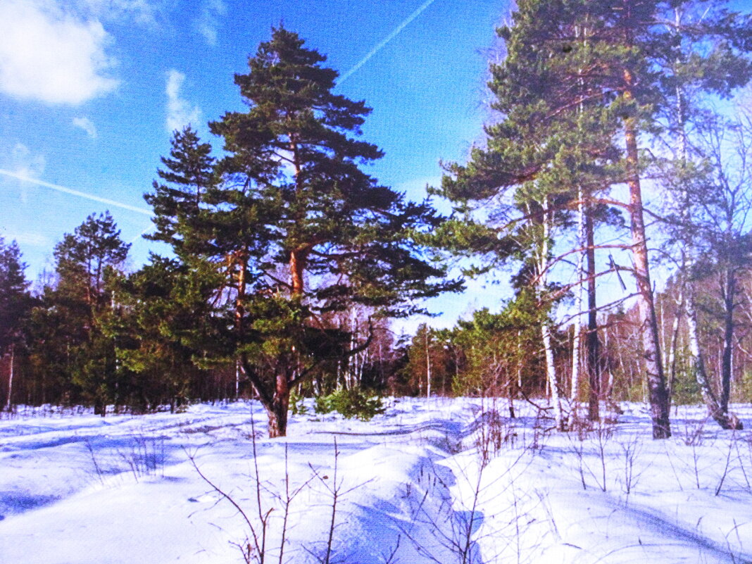 Красота - Людмила Смородинская Красота - Людмила Смородинская