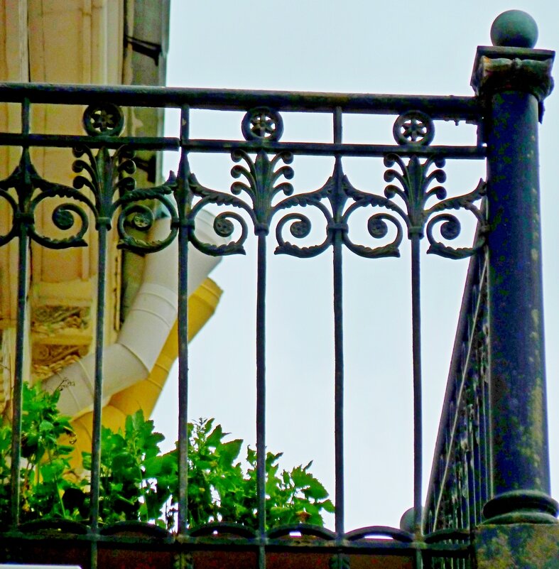 ПИТЕР, решётки. - Виктор Осипчук