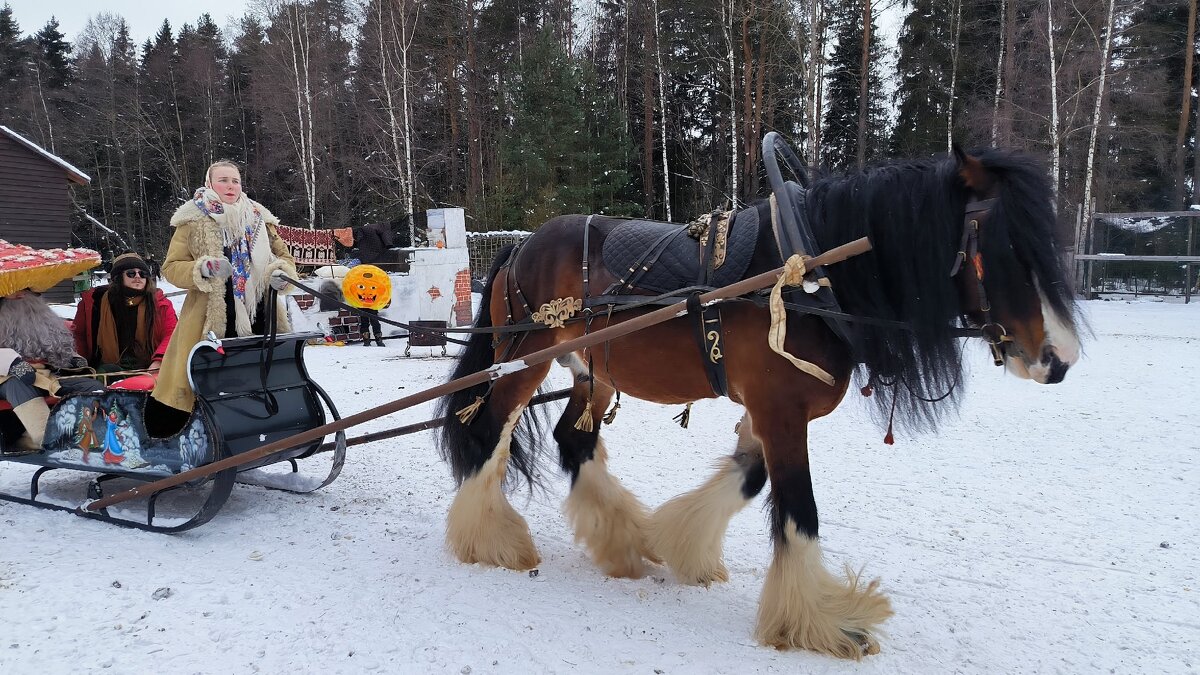 Масленичные гуляния. Катание в санях. - Ольга Масленичные гуляния. Катание в санях. - Ольга