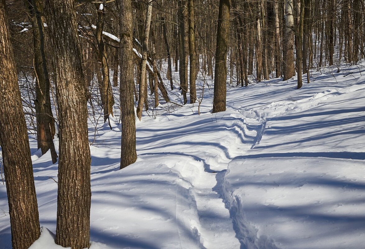 Мои зимние дорожки ... - Ravile Мои зимние дорожки ... - Ravile