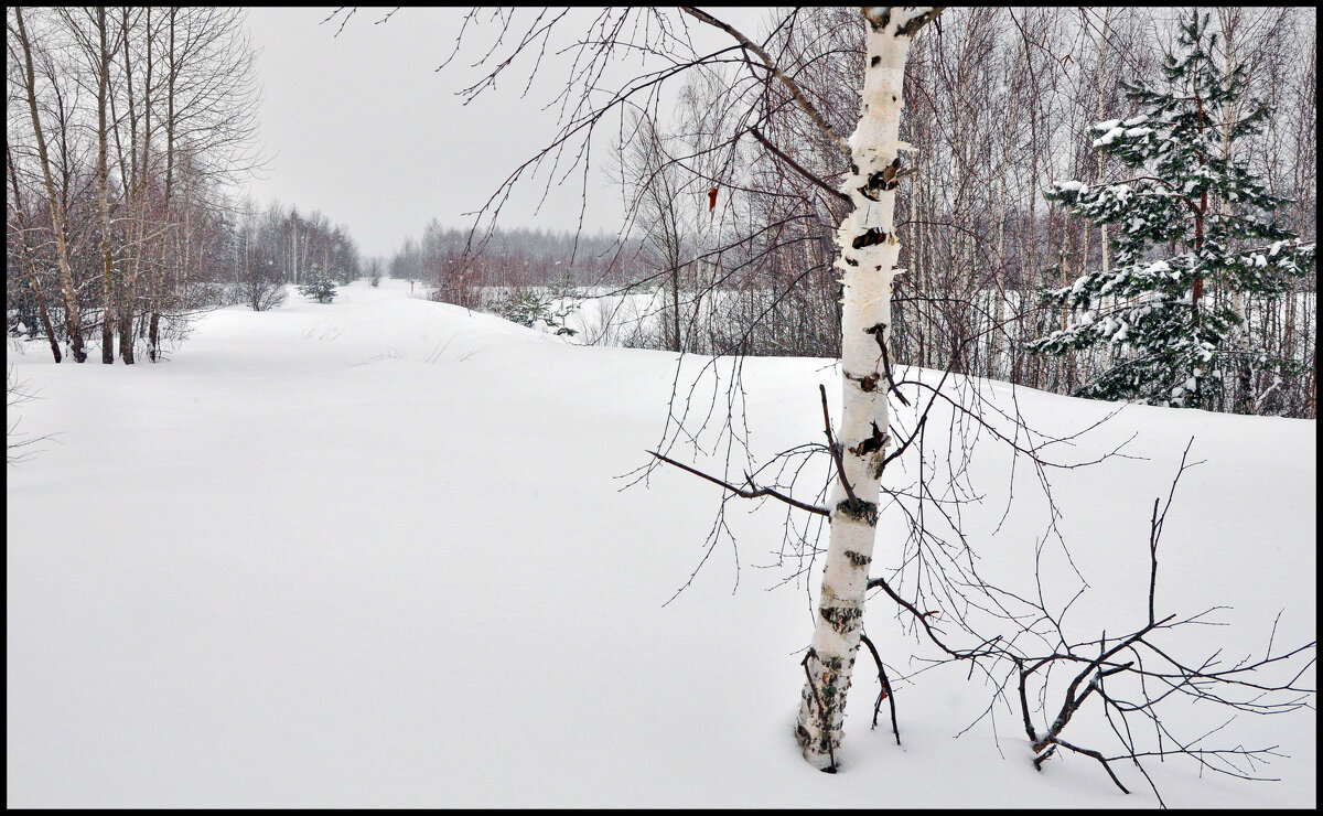 Зима - **** vedin Зима - **** vedin