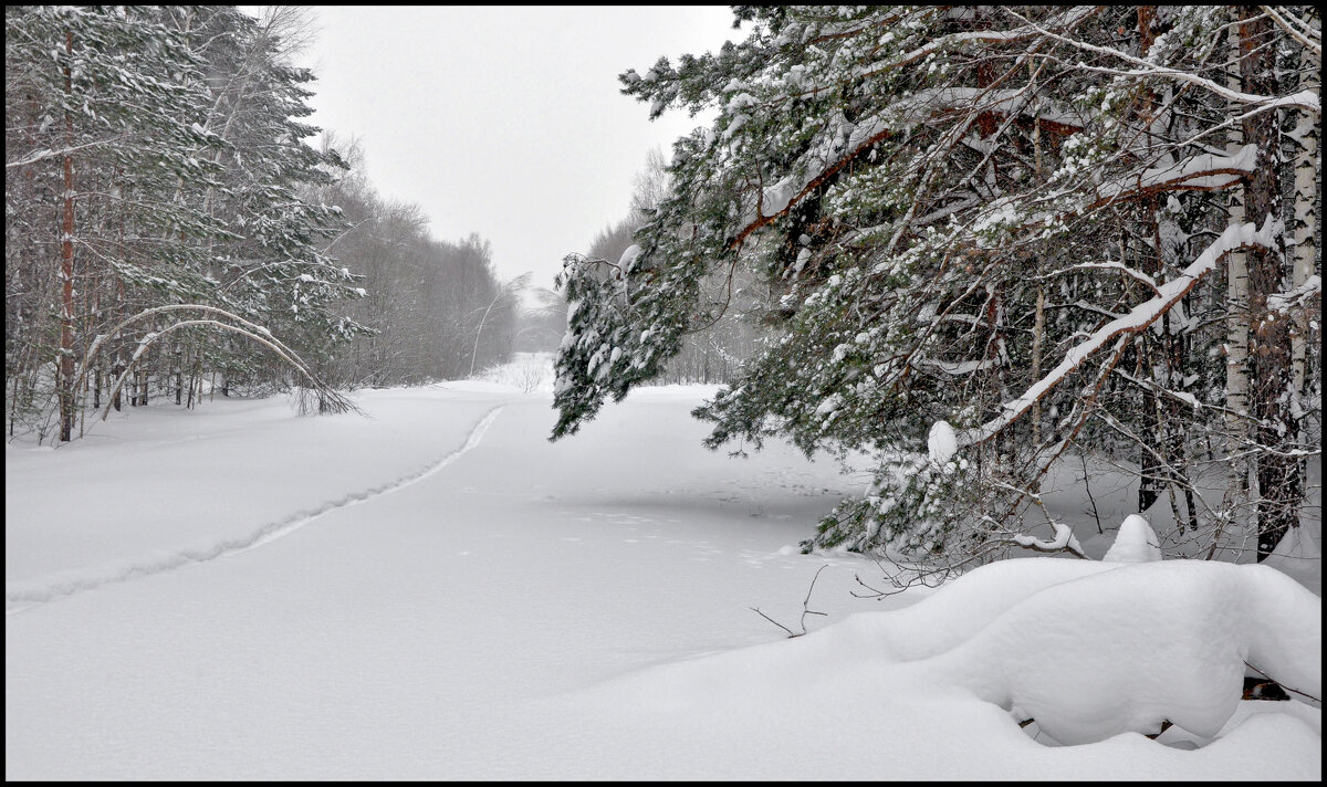 Лыжня - **** vedin