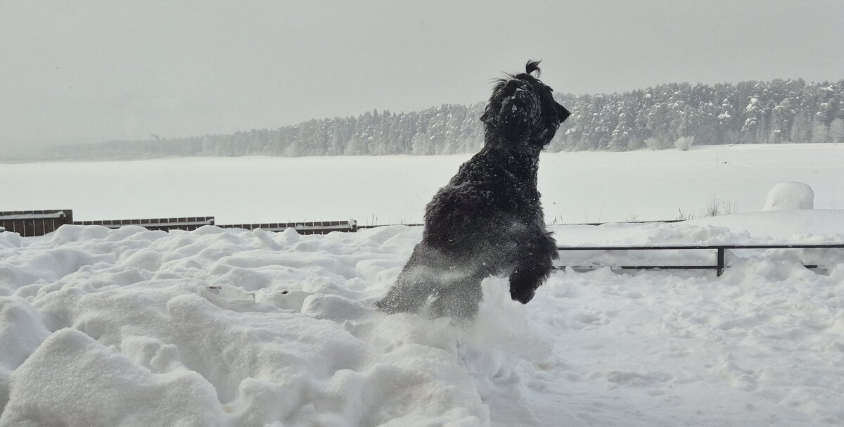 Эээээх, хорошо - Надежда Шубина Эээээх, хорошо - Надежда Шубина
