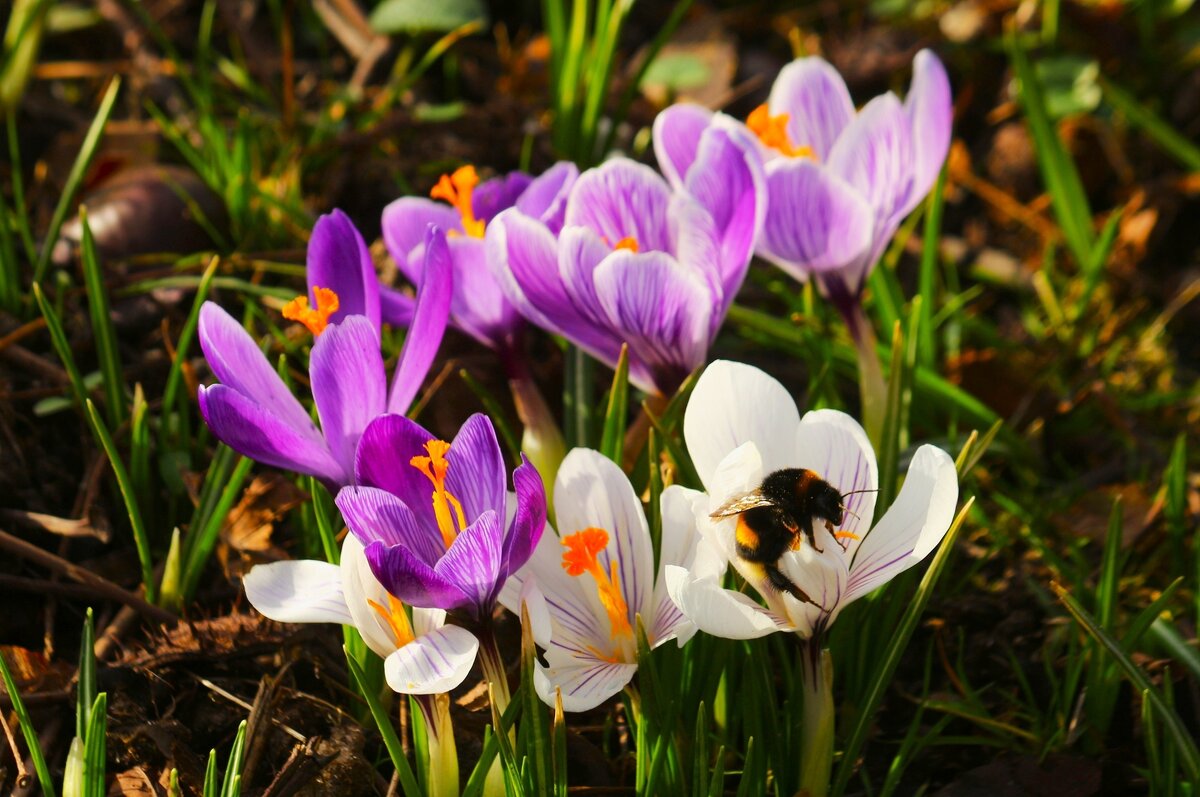 Доброе утро - Юрий. Шмаков Доброе утро - Юрий. Шмаков