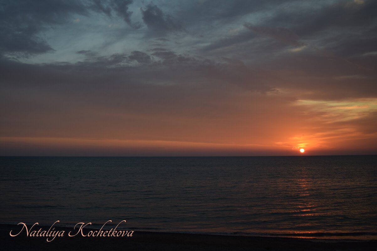 Природа Крыма - Amazing Cosmea Природа Крыма - Amazing Cosmea