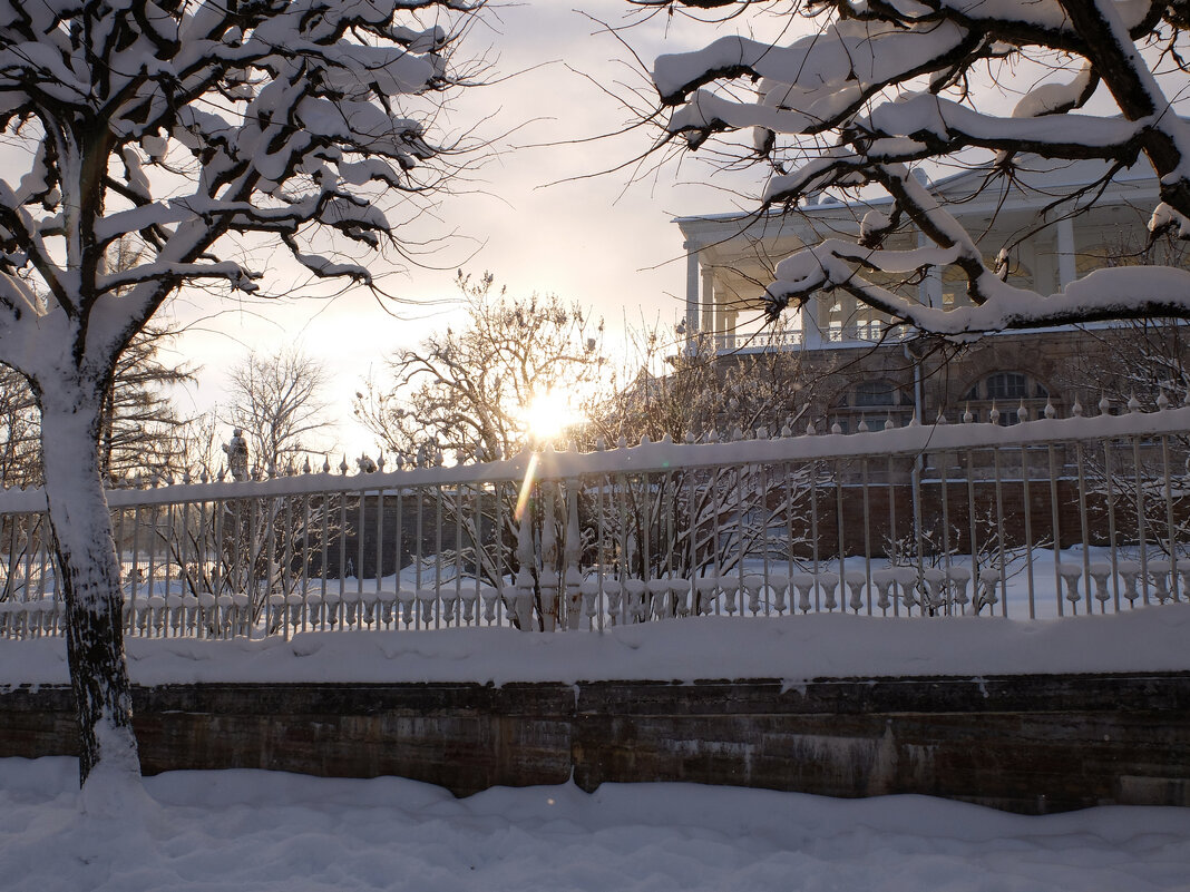 Екатерининский парк - tipchik 