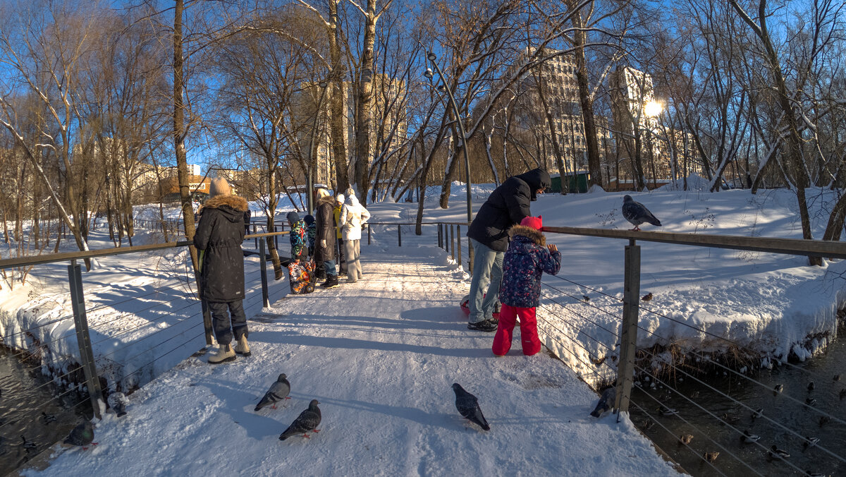 Прогулки в Зимнем Парке - юрий поляков