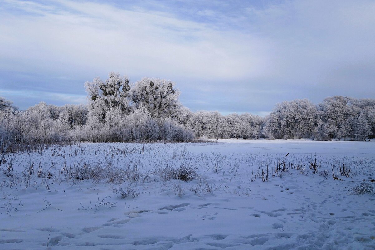 Зимний пейзаж - Рита Симонова