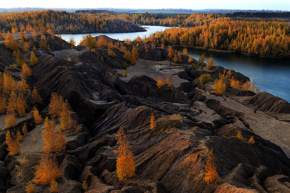 Краски осени - Владимир Гришин Краски осени - Владимир Гришин