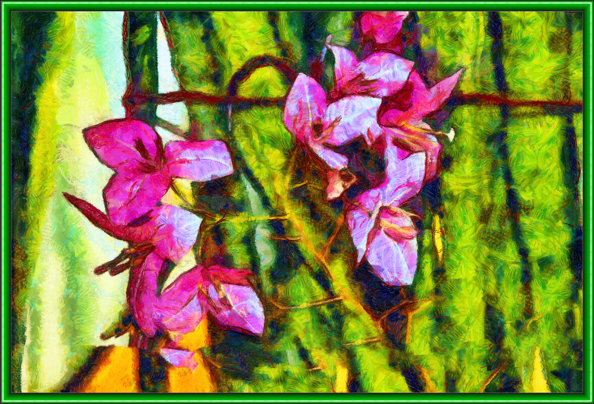 Бугенвилия - Анатолий Чикчирный