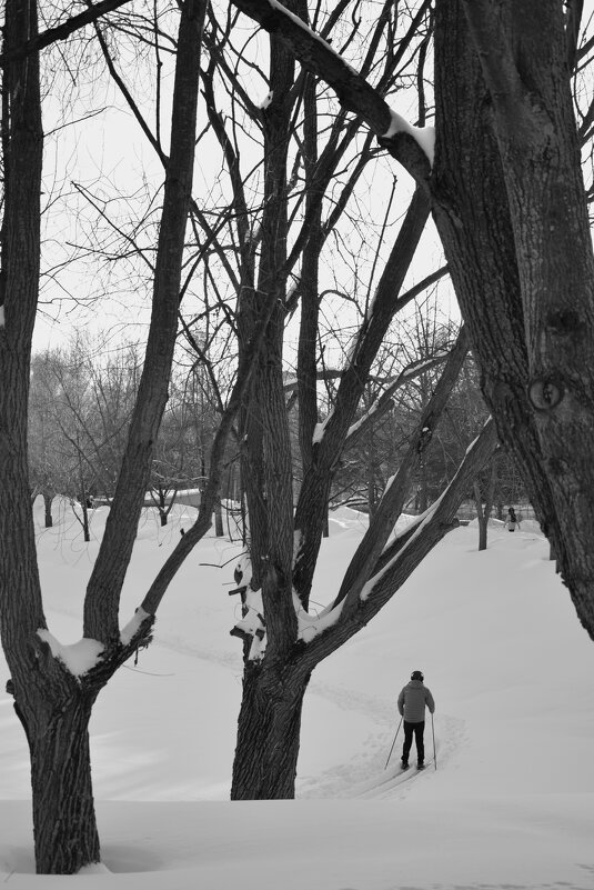 Лыжник - Мария Яковлева