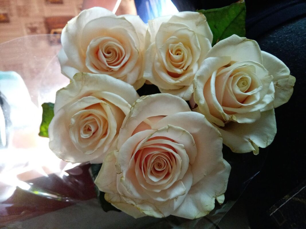 С наступающим праздником, мужчины! - Татьяна Пальчикова