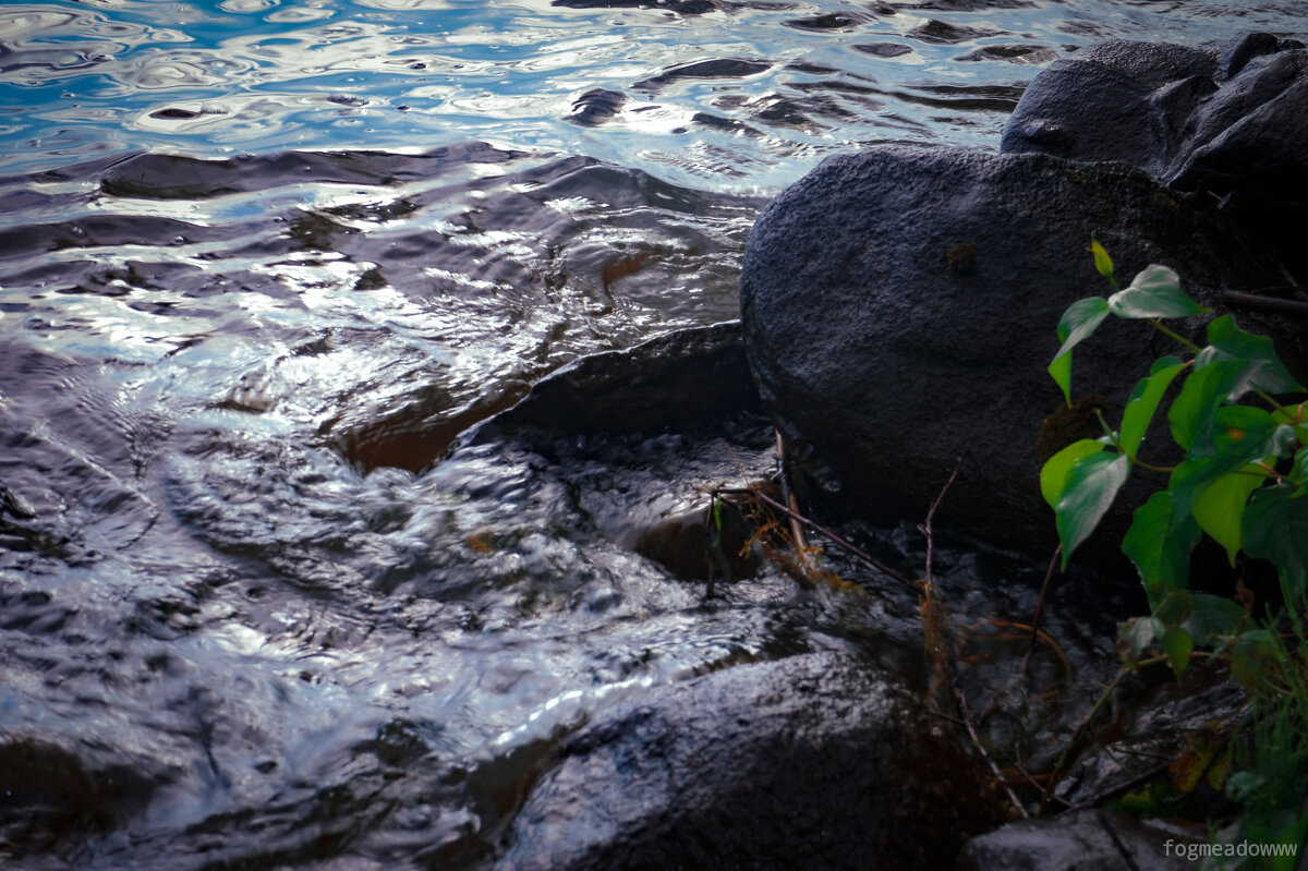 Вода и камни - fogmeadowww m