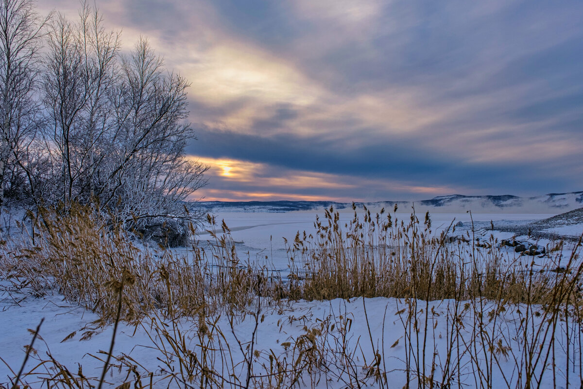 *** - Алексей Мезенцев