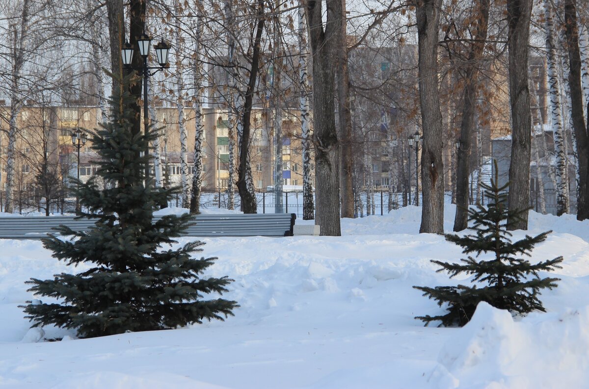 Зима - Венера Чуйкова Зима - Венера Чуйкова