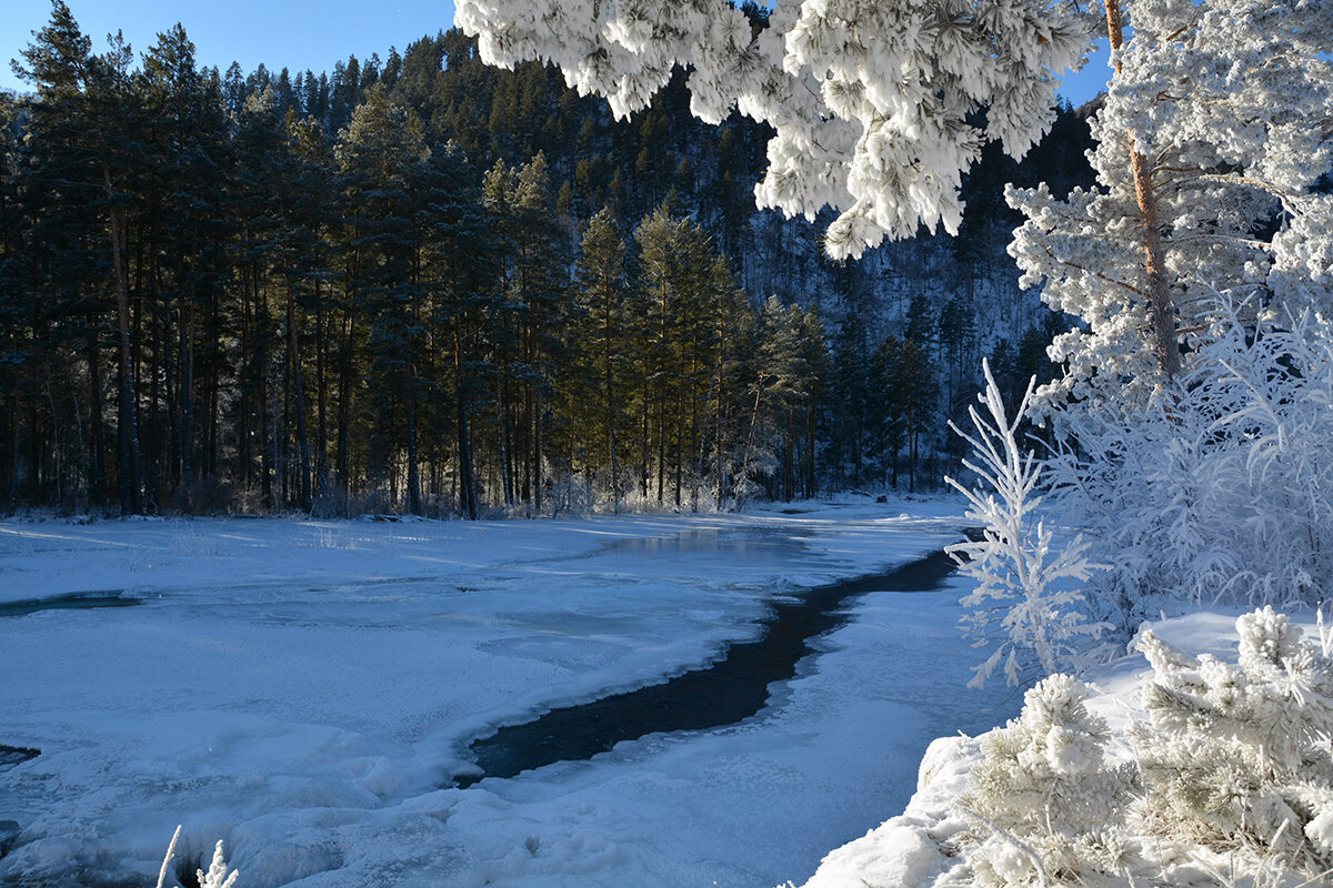 У Синего плёса - Валерий Медведев