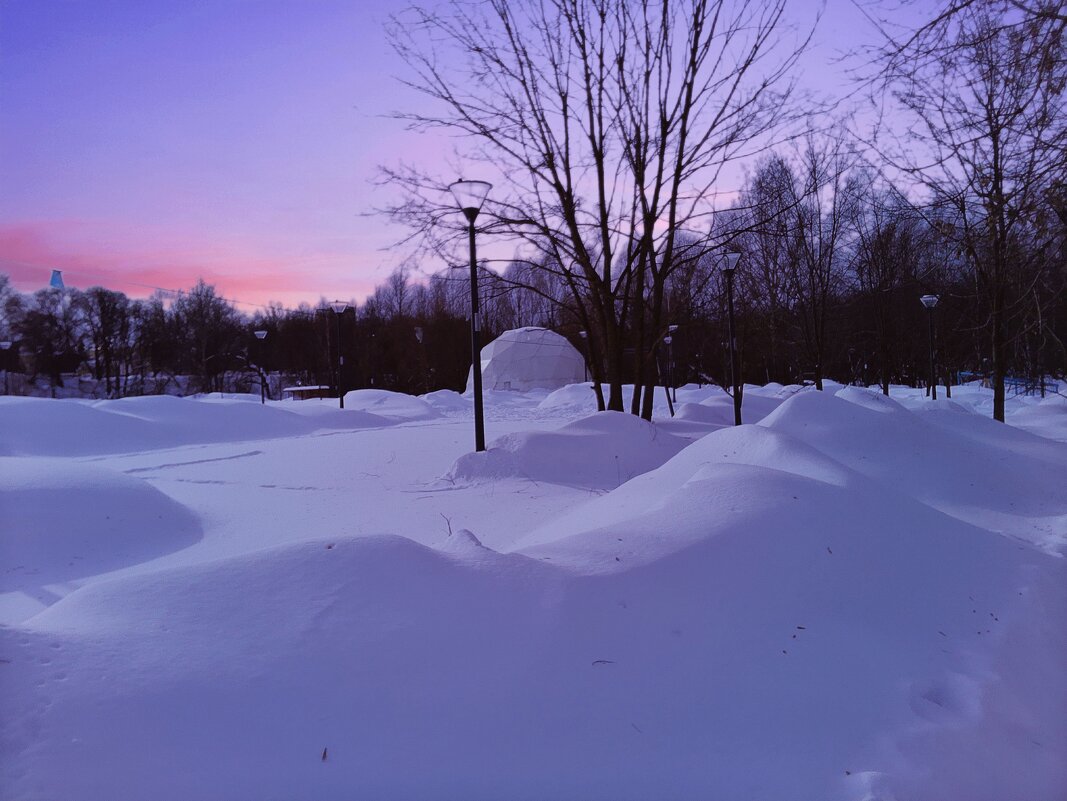 На закате в парке. - Наталья Вязигина