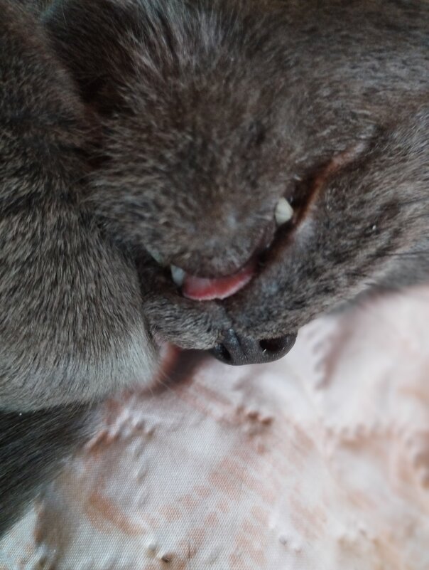 Когда сон хороший снится. - Наталья Вязигина Когда сон хороший снится. - Наталья Вязигина