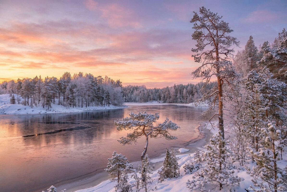 Ладога... - Ольга Cоломатина