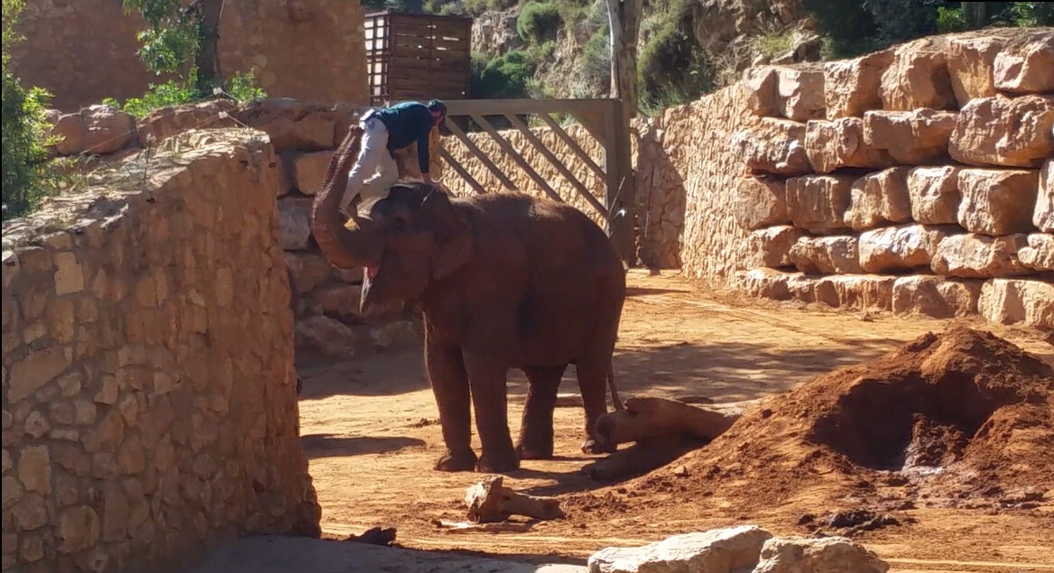 13  ОПЕН (891) - OPEN WAYS ALL