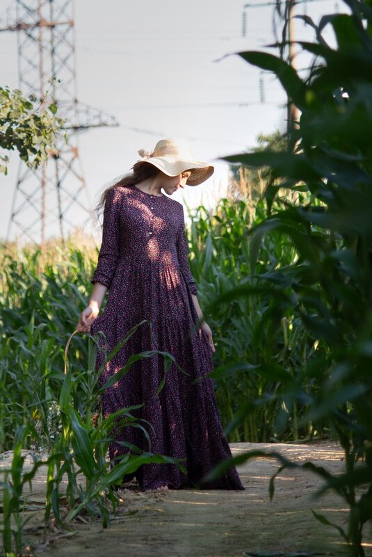 * - Евгений Ваулин