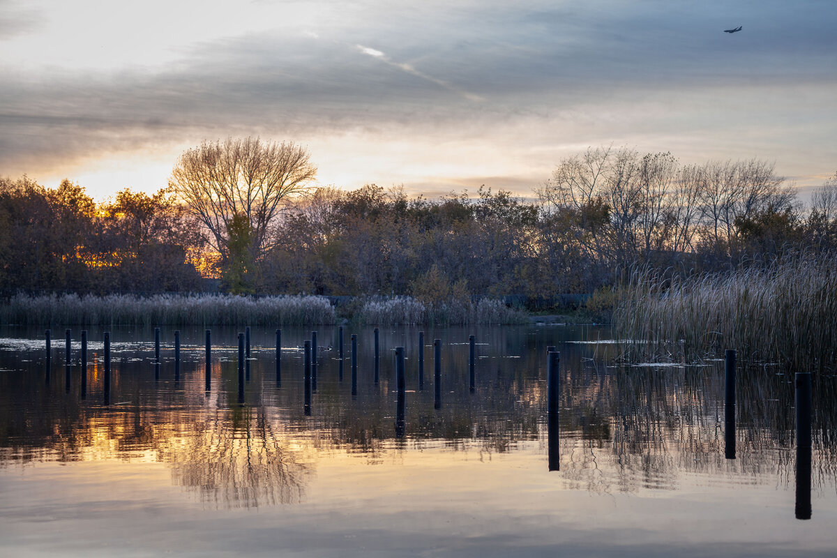 пейзаж городского пруда, или "Лесное озеро" - Антон Лихач пейзаж городского пруда, или "Лесное озеро" - Антон Лихач